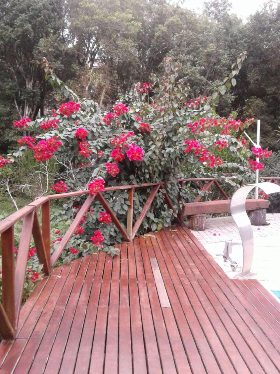 Chacara Recanto Vale Do Luar Piraquara 외부 사진